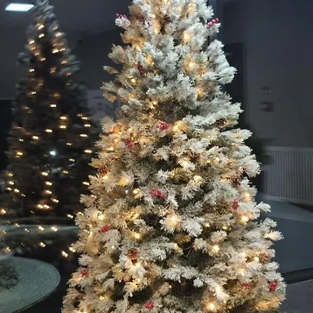 Triventi Rajski Apartament *