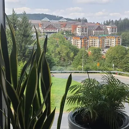 Triventi Rajski Karpacz