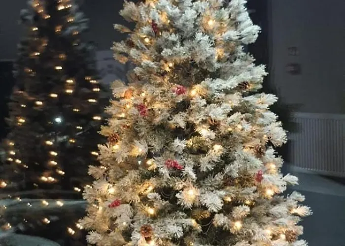 Triventi Rajski Appartement *