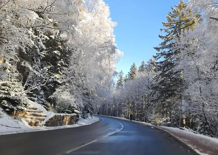 Triventi Rajski Apartment Karpacz